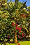 auswandern-andalusien