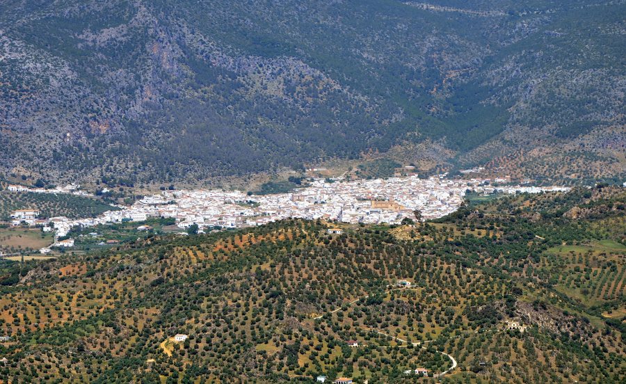 File:Algodonales.jpg