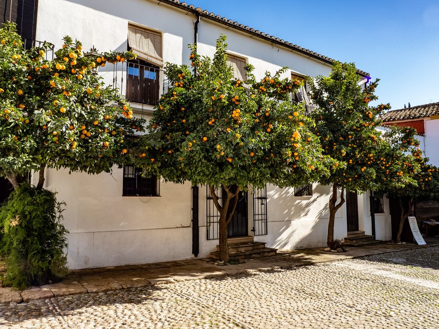 File:Ronda and Setenil-036.jpg