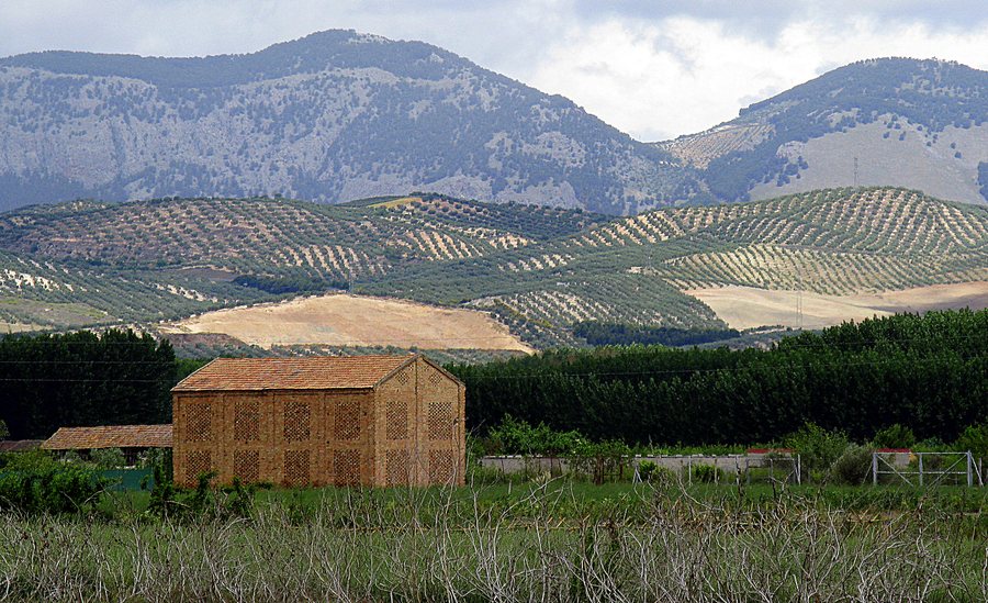 File:Brick barn, Fuente Vaqueros, Andalucía, Spain.jpg