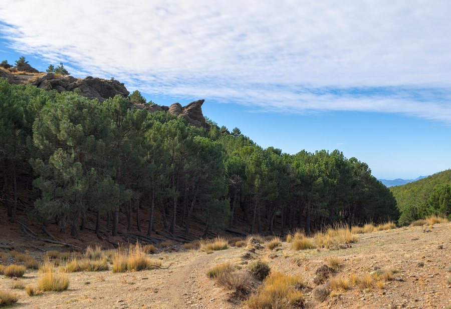 File:Sulayr trail in Bubión, Sierra Nevada National Park (DSCF5162).jpg