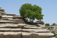 EL Torcal in Andalusien