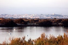 Chiclana de la Frontera