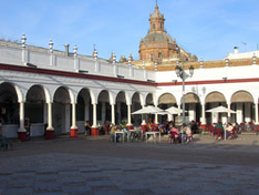 Carmona