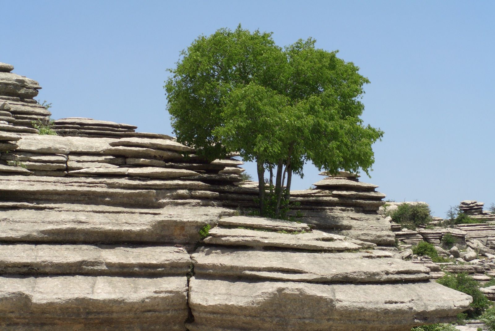 EL Torcal in Andalusien